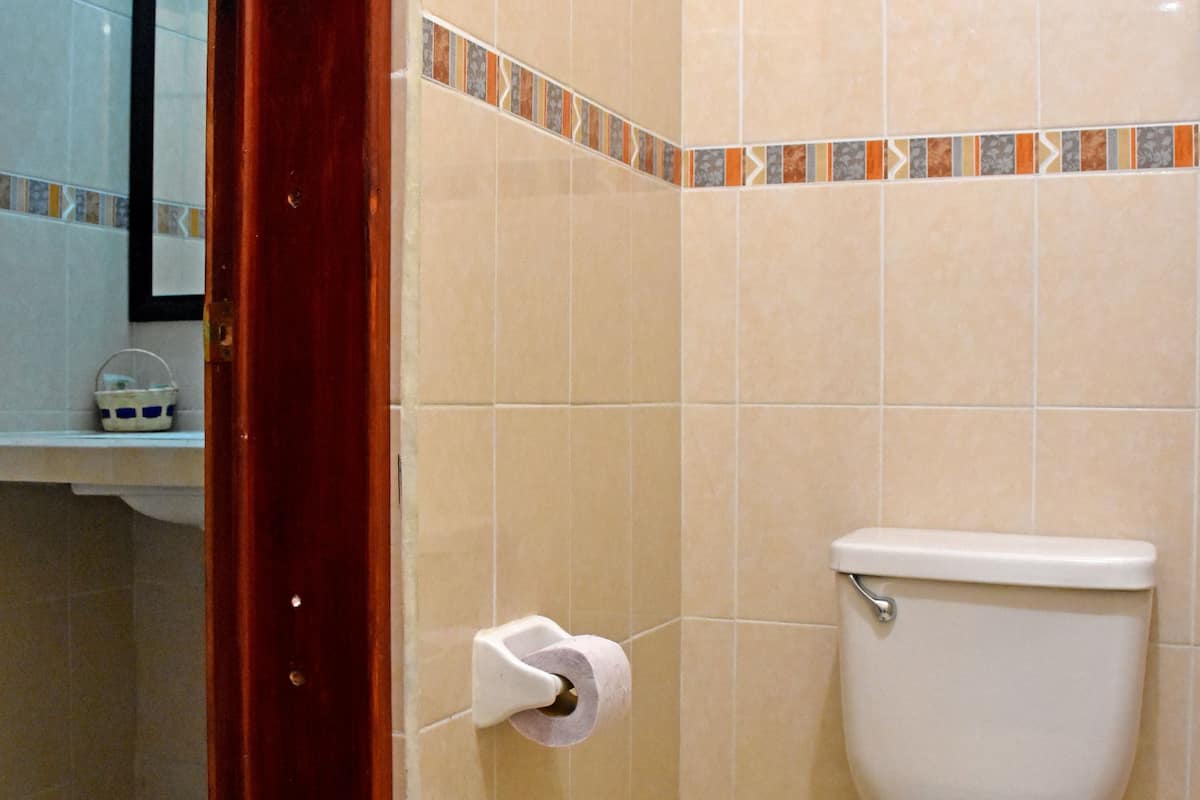 standard double | bathroom | shower, free toiletries, hair dryer, towels