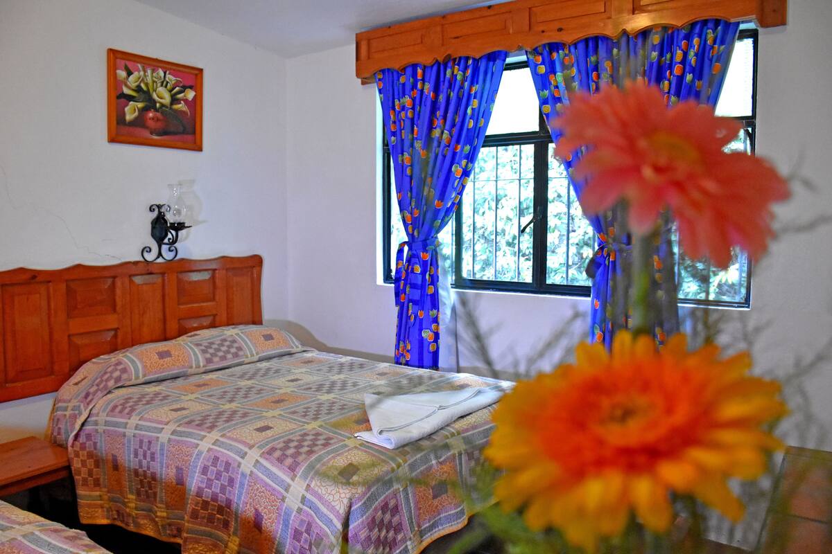 Desk, WiFi (free), bed sheets