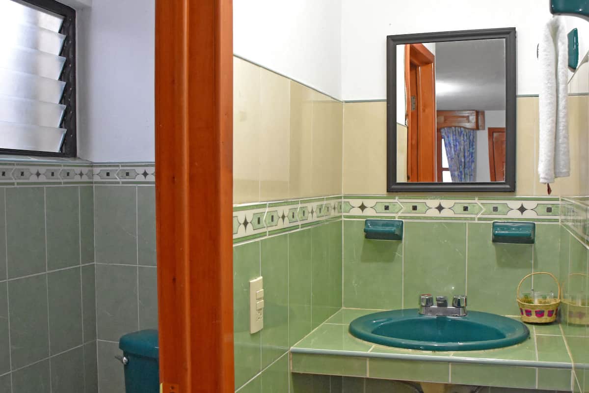 standard room | bathroom | shower, free toiletries, hair dryer, towels