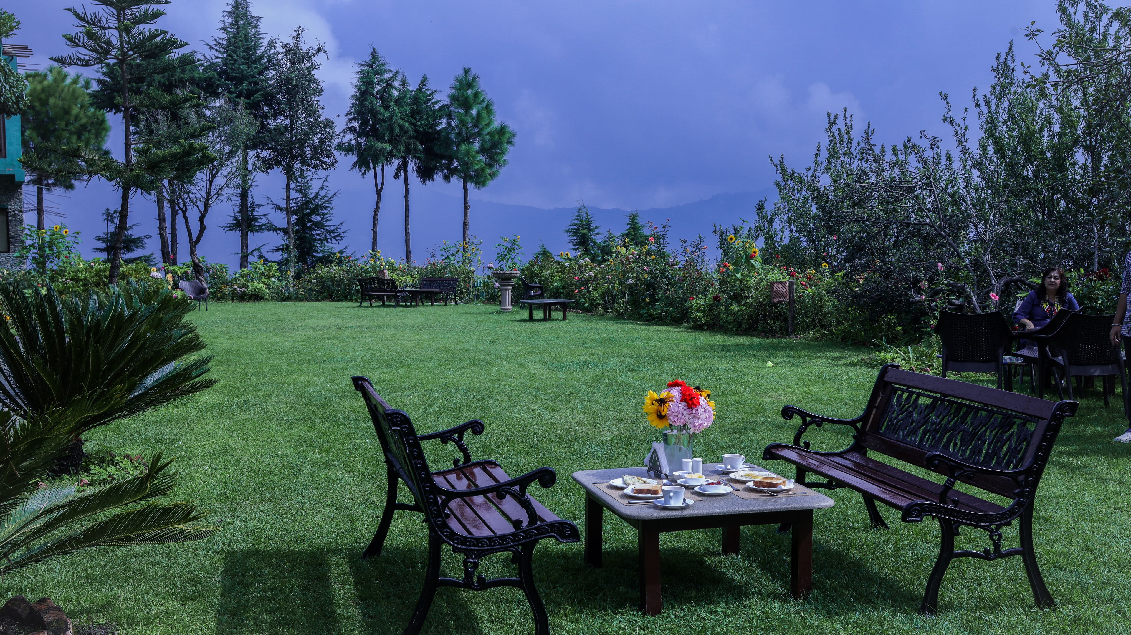 An outdoor dining area with a table set for two, surrounded by lush greenery and trees.