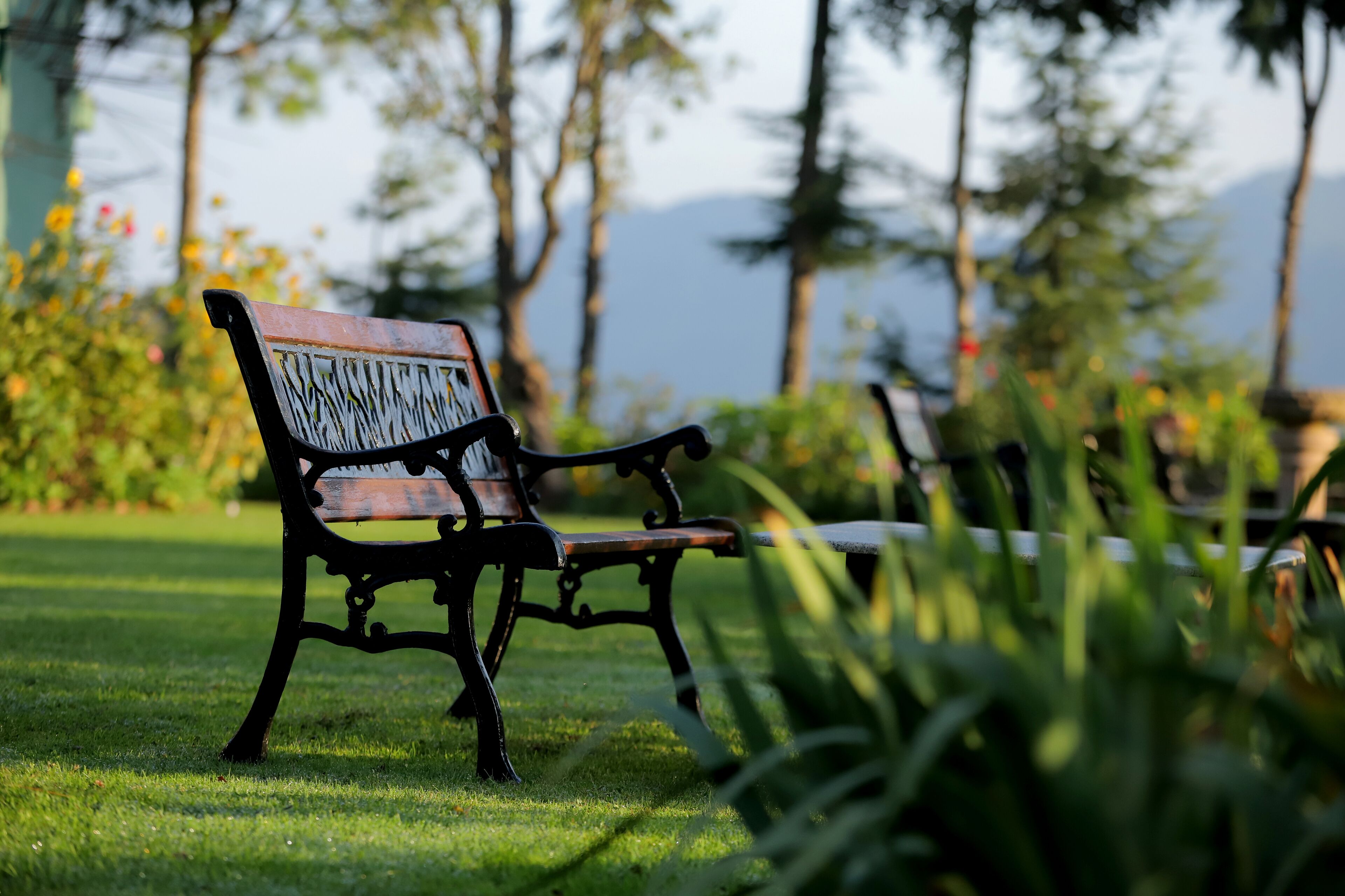 A bench in a park with a clear view of trees and a distant mountain range.