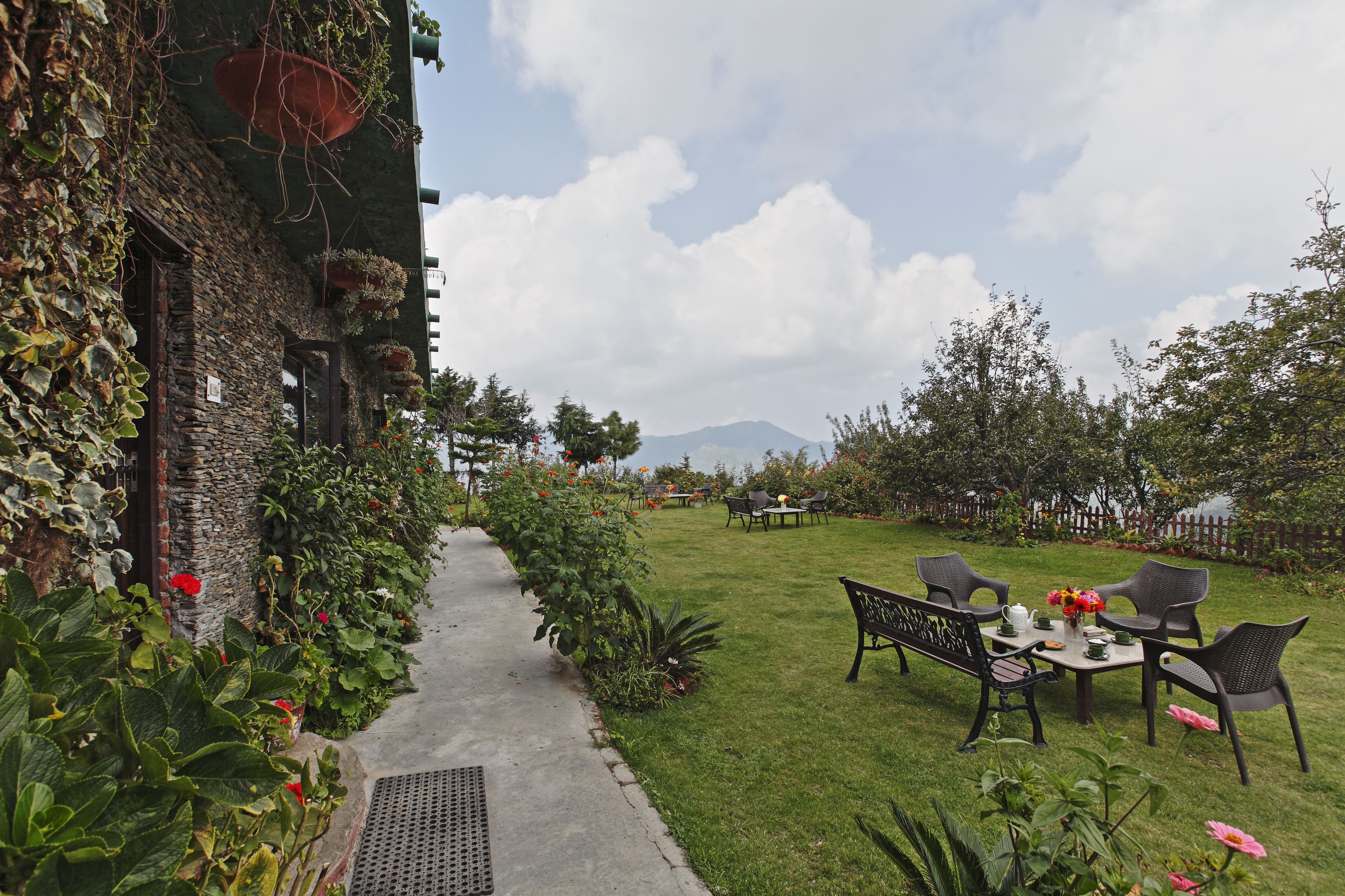 Un jardín con un sendero que lleva a una mesa y sillas, rodeado de abundante follaje y flores.