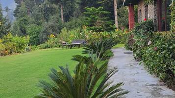 A pathway leading to a building surrounded by lush greenery and trees.