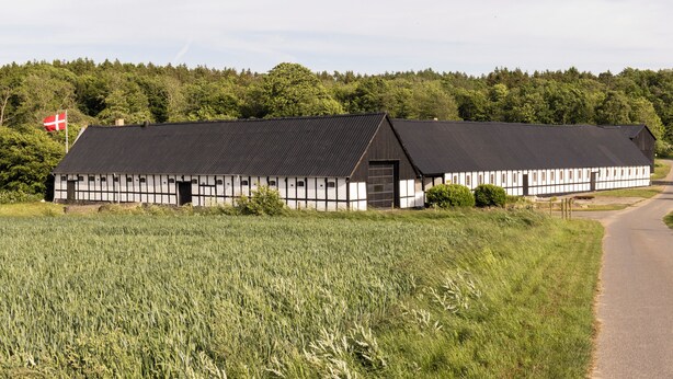 A traditional half-timbered building with a black roof, surrounded by a field and a forested area.
