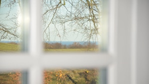A view through a window with a landscape of trees and grass. - Lehnsgaard Ranch (Gudhjem)