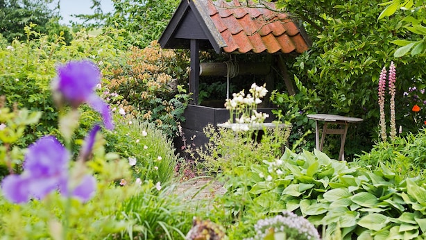 A garden with a small gazebo, a table, and various plants. - Lehnsgaard Ranch (Gudhjem)