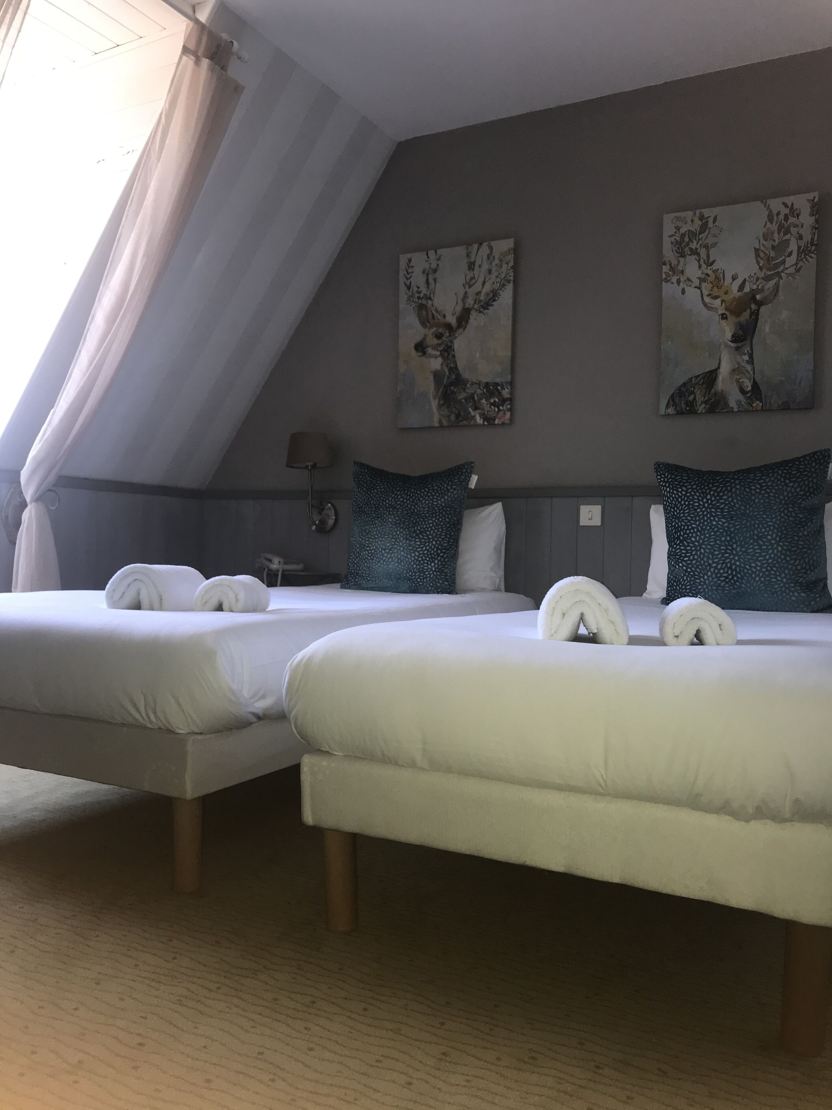 Une chambre d’hôtel avec deux lits, une fenêtre avec des rideaux et deux tableaux représentant des cerfs, accrochés au mur.
