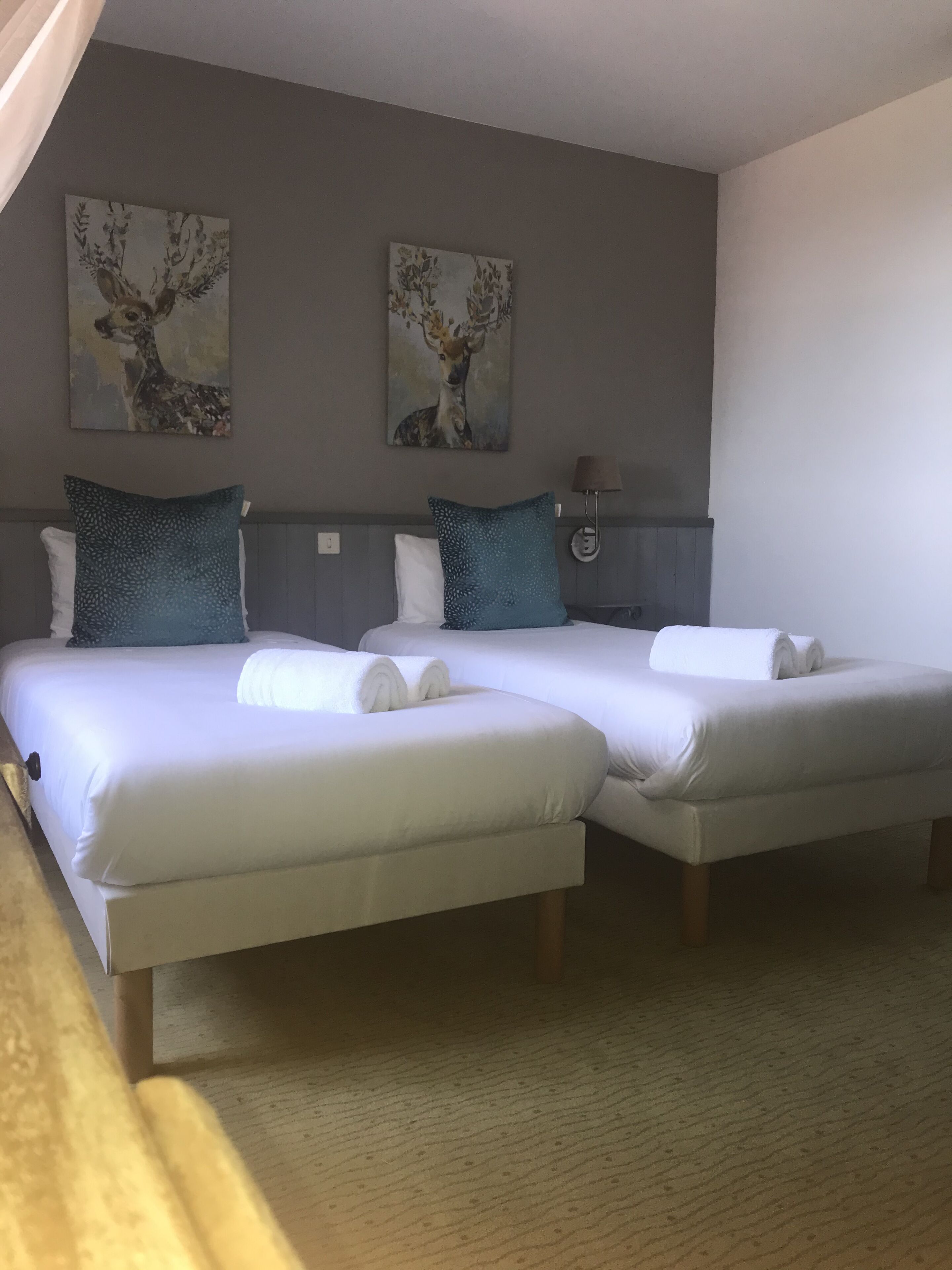 Habitación de hotel con dos camas, cada una con ropa blanca y almohadas turquesa. Hay dos cuadros de ciervos colgados en la pared, una lámpara de noche y piso de madera.
