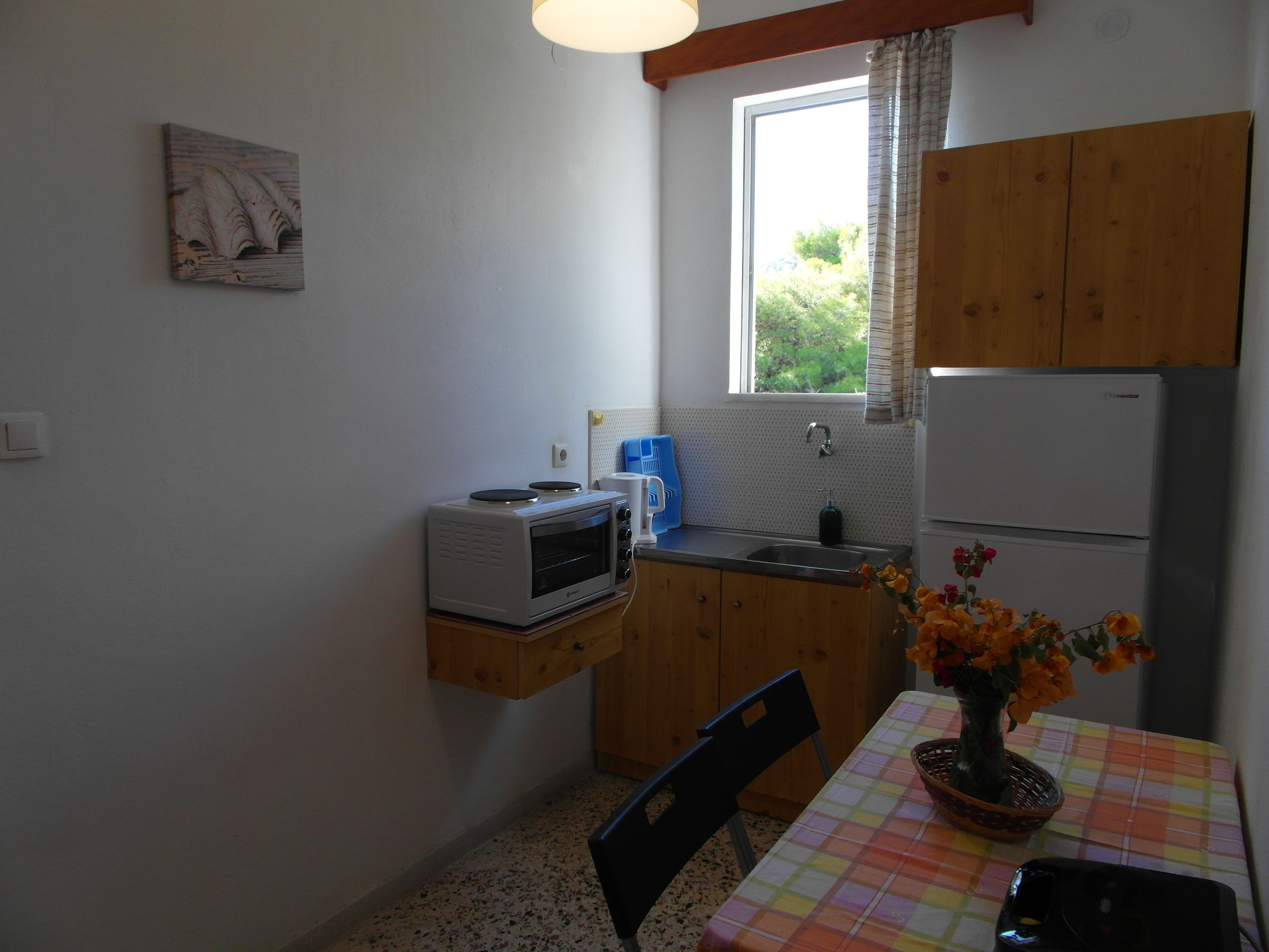 economy apartment, 1 bedroom | private kitchen | fridge, oven, stovetop, electric kettle