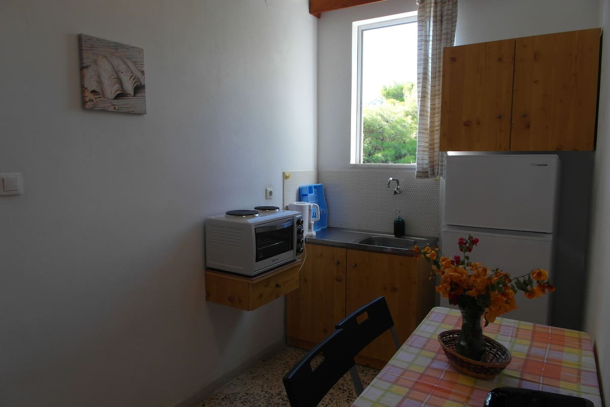 economy apartment, 1 bedroom | private kitchen | fridge, oven, stovetop, electric kettle