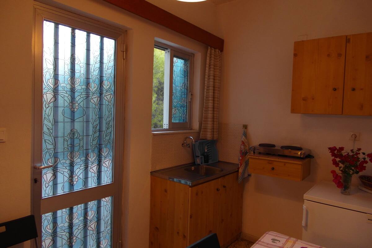 apartment, 1 bedroom, sea view | private kitchen | fridge, oven, stovetop, electric kettle