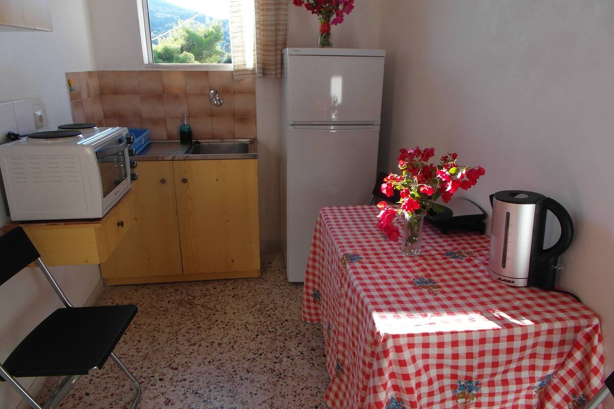 economy apartment, 1 bedroom | private kitchen | fridge, oven, stovetop, electric kettle