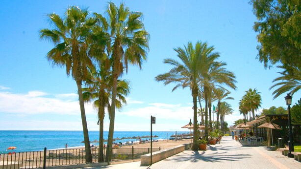 A paved walkway lined with palm trees and beach umbrellas, leading to a beach area with umbrellas and chairs. - Villa Turrión (Marbella)