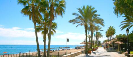 Playa en los alrededores, sombrillas y toallas de playa