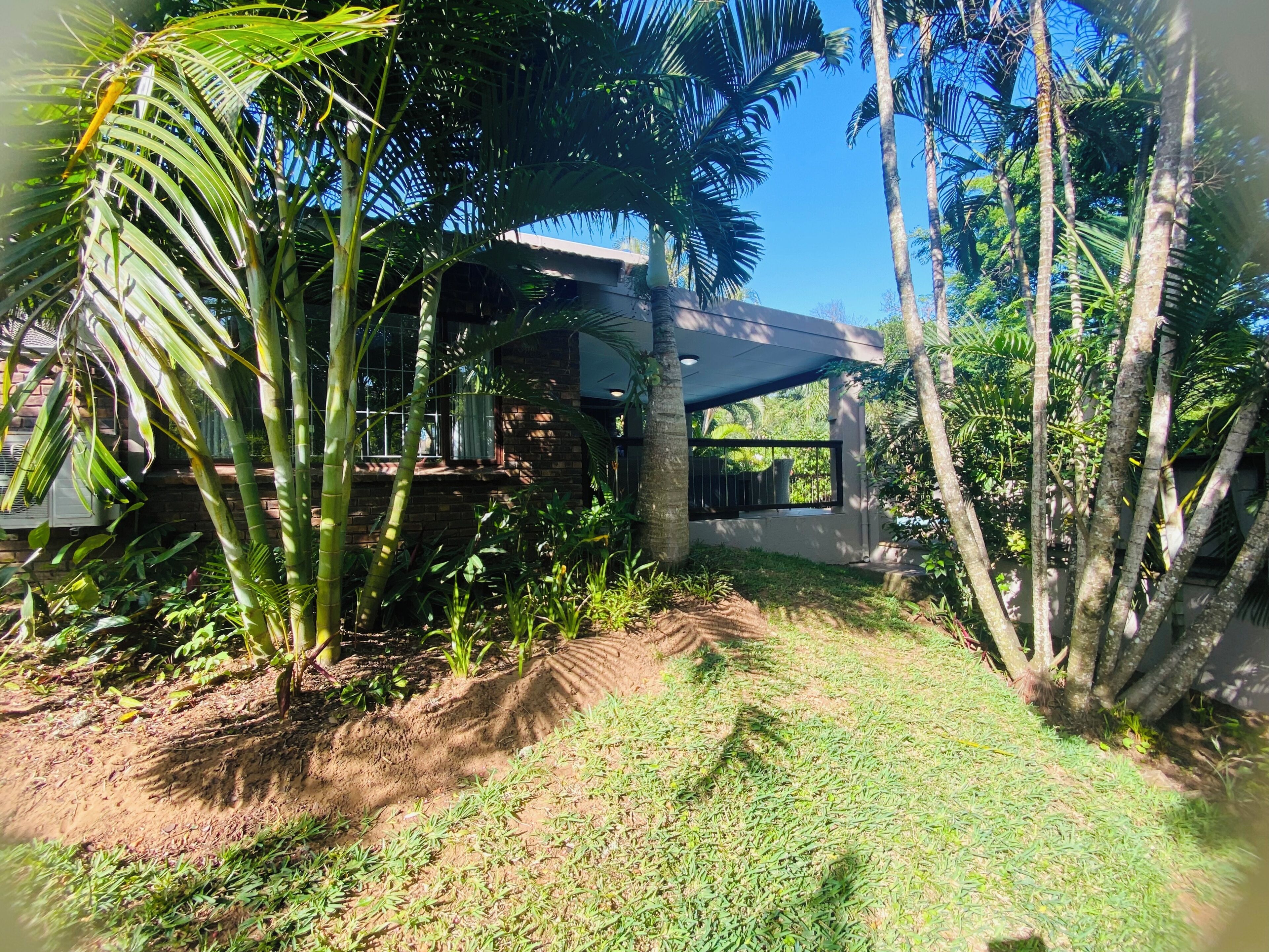 A modern house with a brick exterior, surrounded by lush greenery and palm trees.