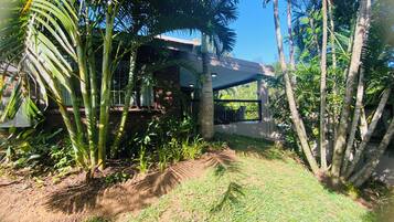 A modern house with a brick exterior, surrounded by lush greenery and palm trees.