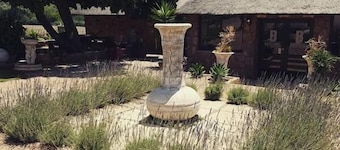 Buffelsvley Guest Farm and Klipskuur Wedding Venue