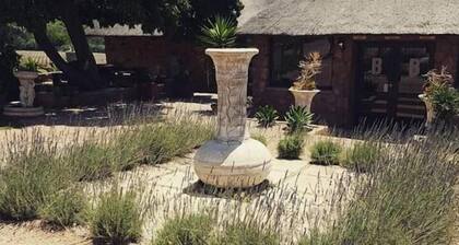 Buffelsvley Guest Farm and Klipskuur Wedding Venue