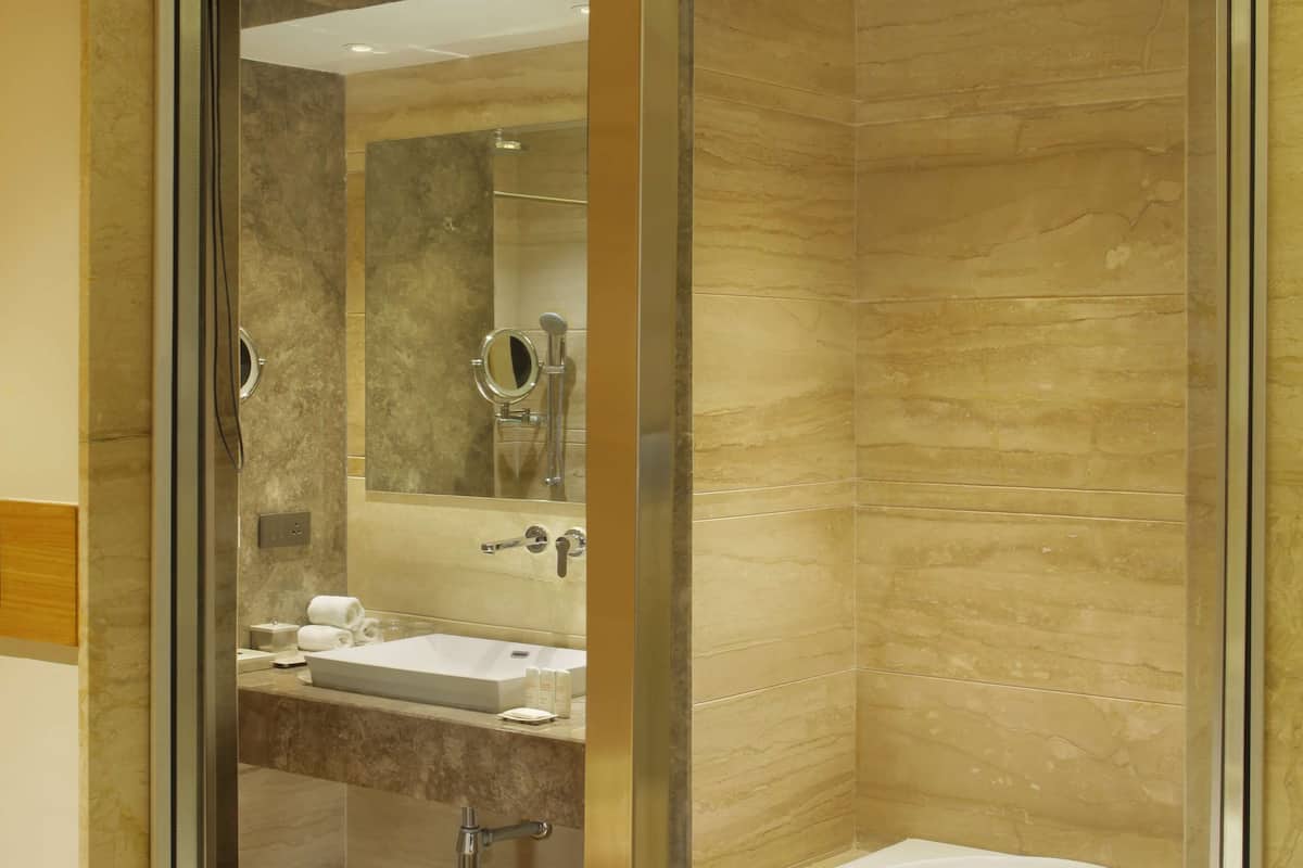 combined shower/bathtub, free toiletries, hair dryer, bathrobes