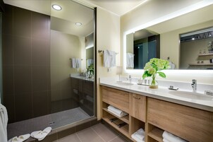 Shower, designer toiletries, hair dryer, bathrobes