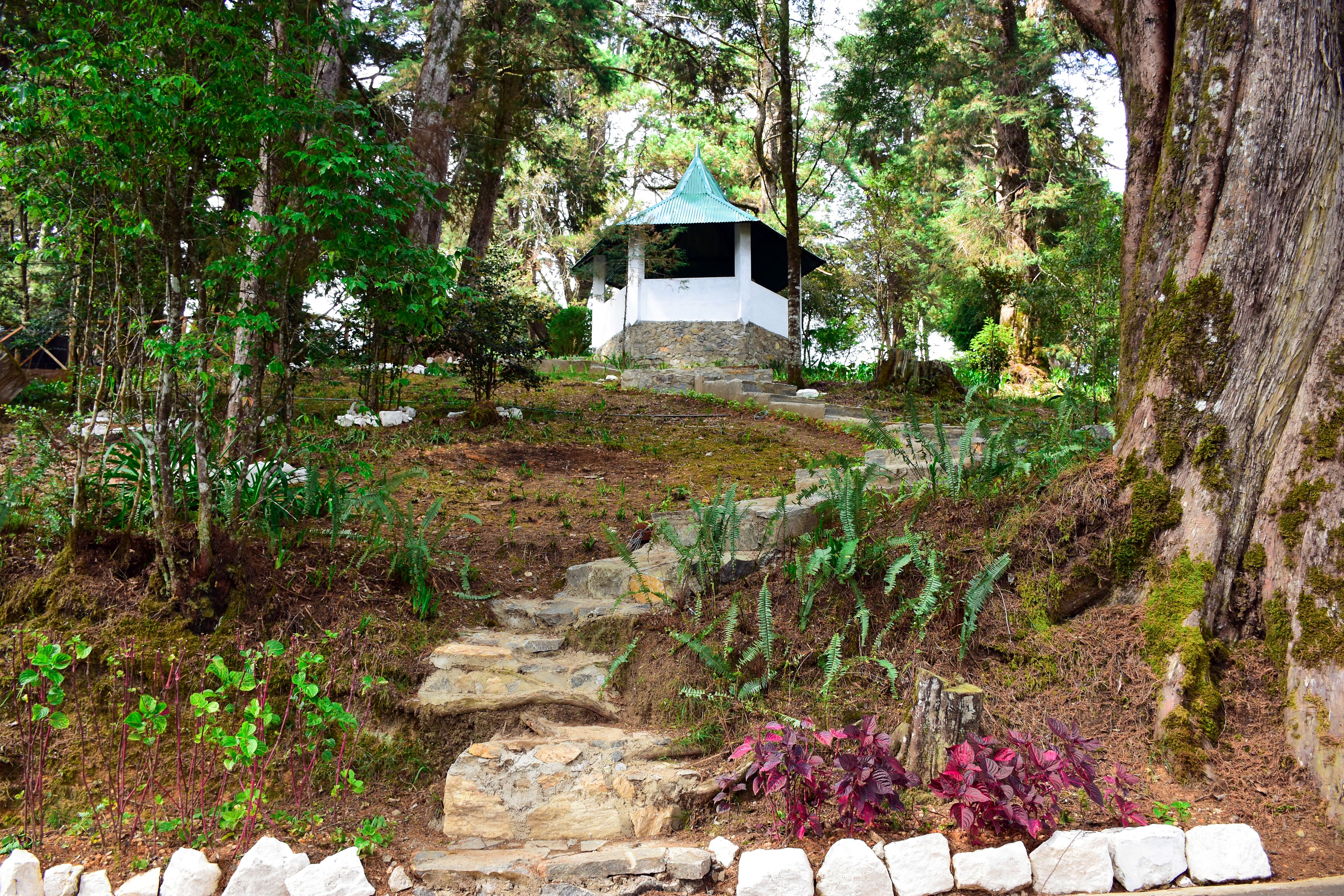 A stone pathway leading to a white gazebo with a green roof, surrounded by lush greenery and trees.
