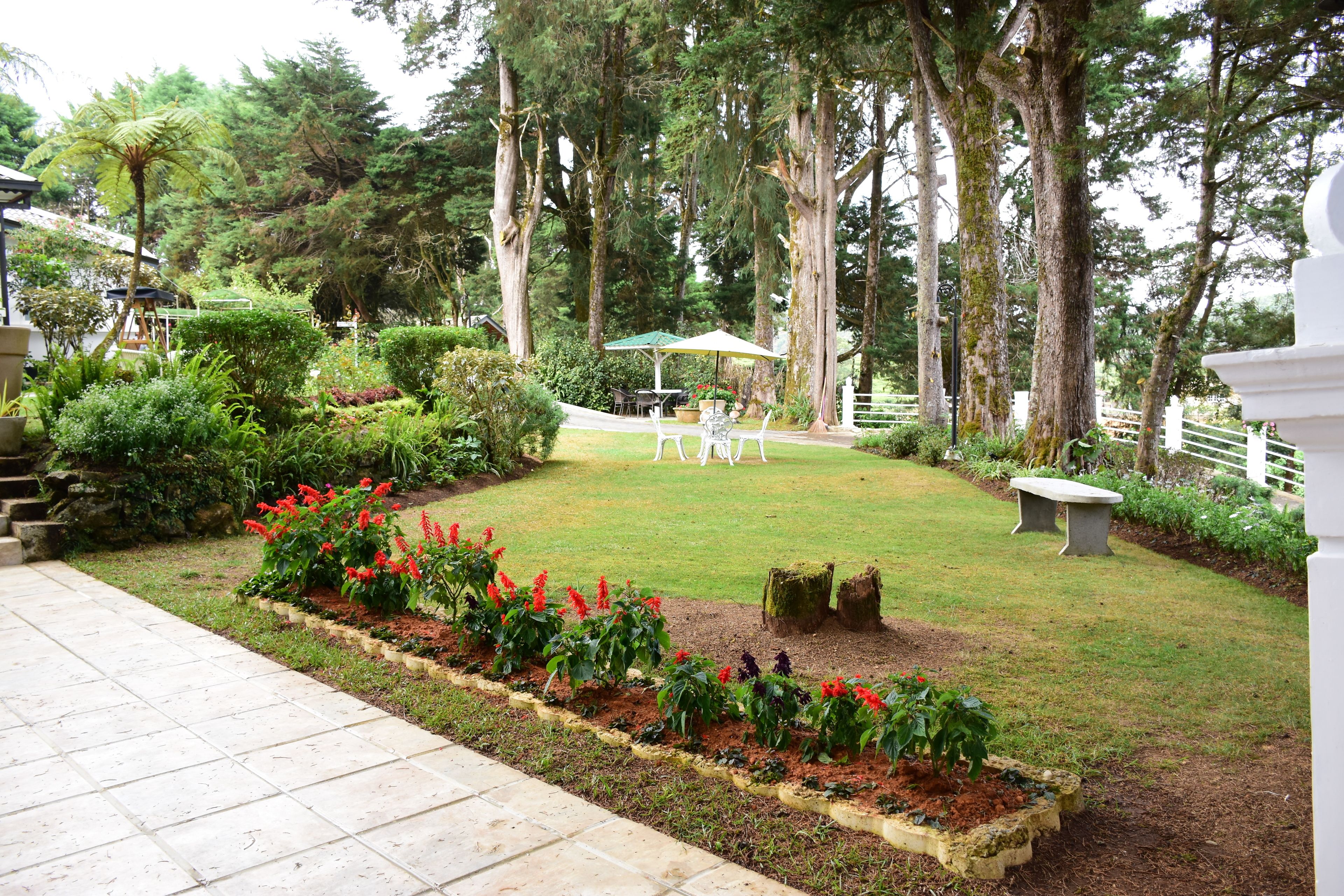 A garden with a lawn, a white bench, and a table with an umbrella.