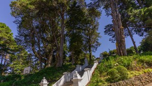 A staircase with stone balustrades leading up a hill, surrounded by lush greenery and tall trees. - Mirage Kings Cottage (Nuwara Eliya)