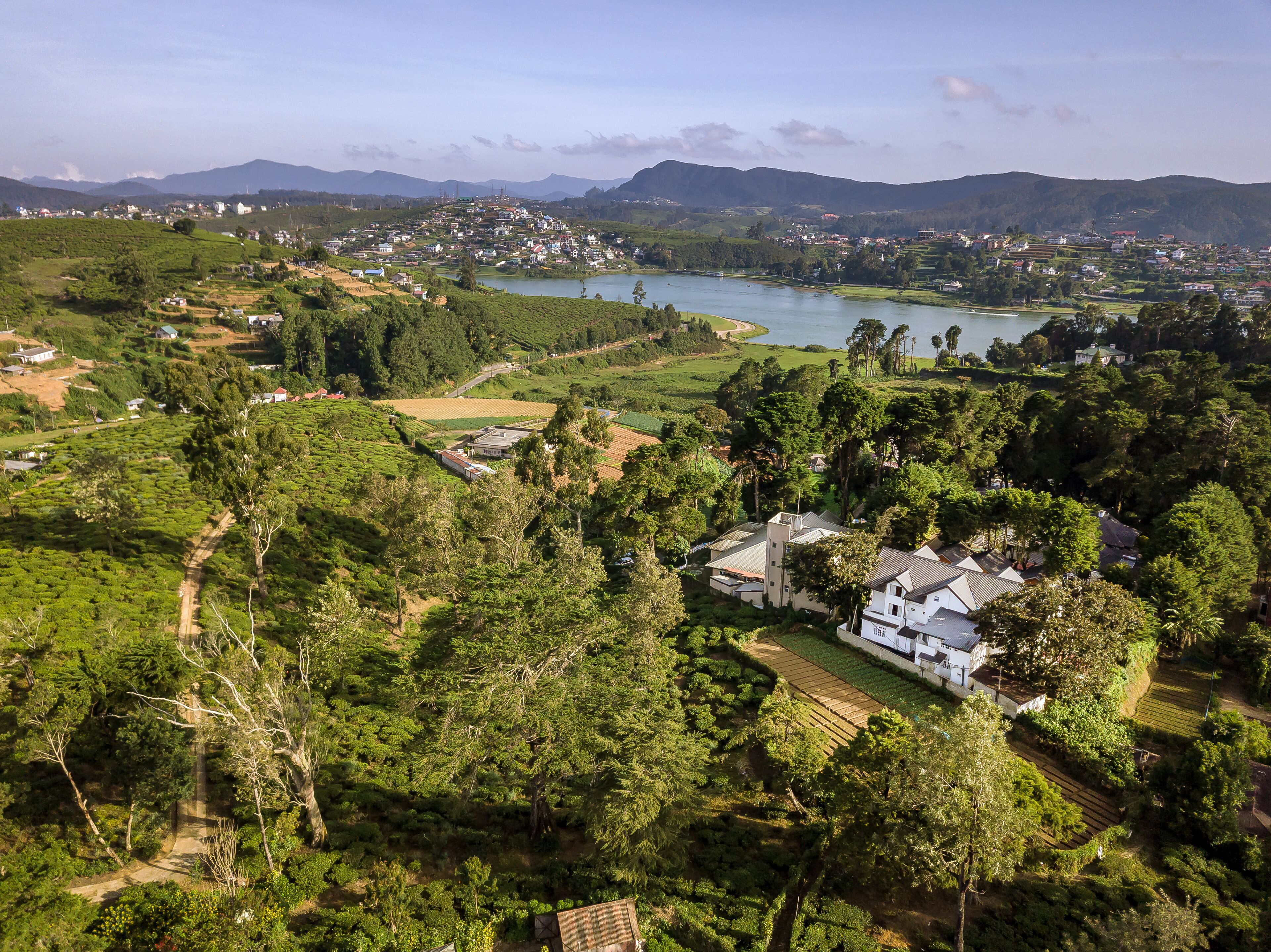 A rural landscape with a house surrounded by lush greenery and a lake.