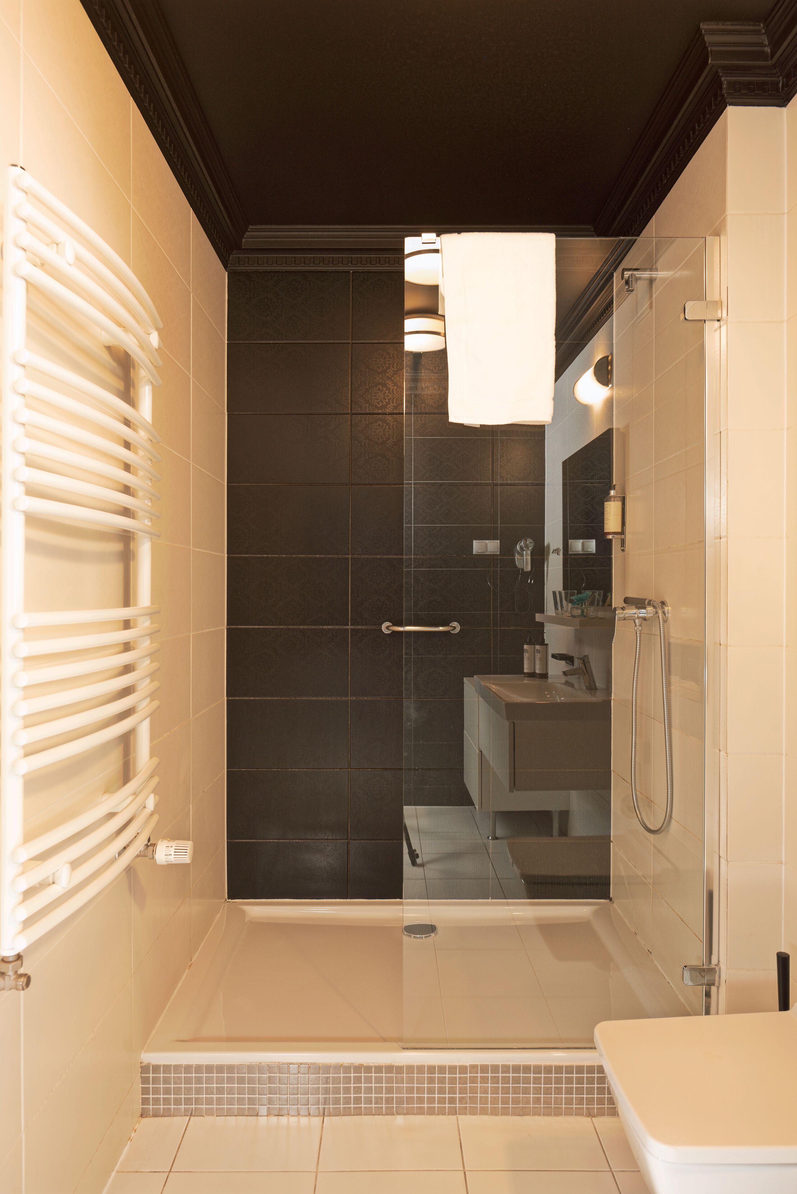 studio suite | bathroom | shower, free toiletries, hair dryer, towels