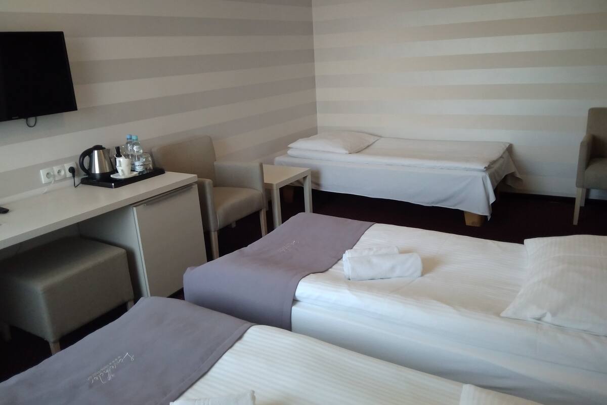 Classic Triple Room | Desk, iron/ironing board (on request), WiFi (free)