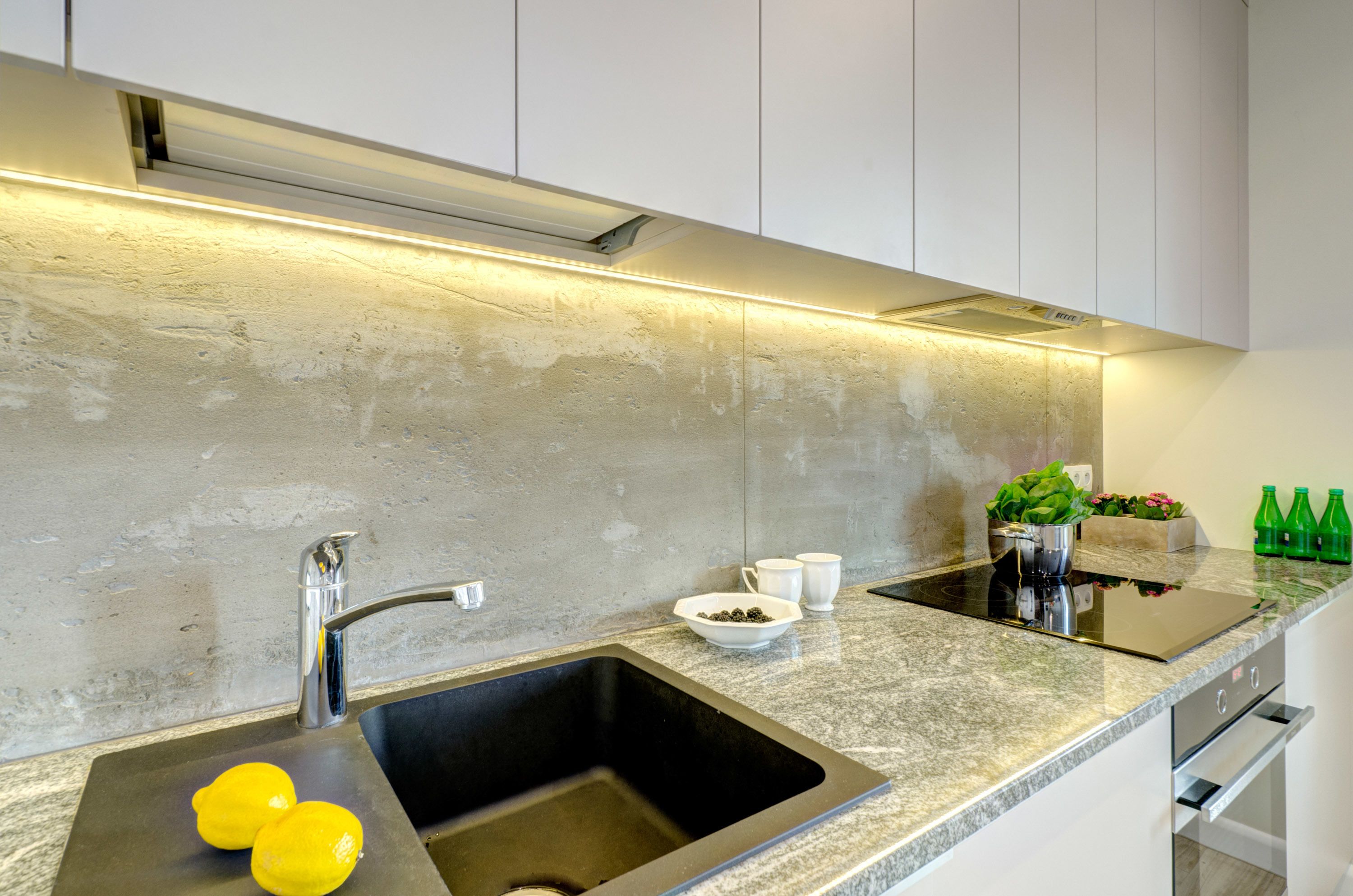 penthouse, 1 bedroom, balcony, river view (635) | private kitchenette | fridge, oven, stovetop, dishwasher