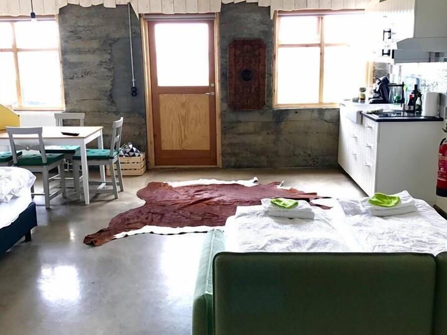 Une pièce comprenant une table à manger, des chaises, un canapé vert, une porte en bois et un coin cuisine avec un évier et des placards.