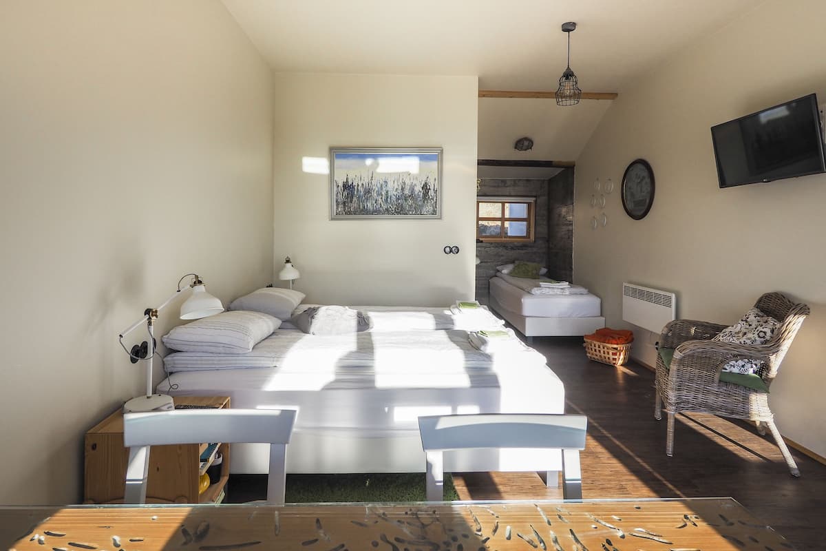 Studio (Large ) | Hypo-allergenic bedding available, blackout drapes, WiFi (free)