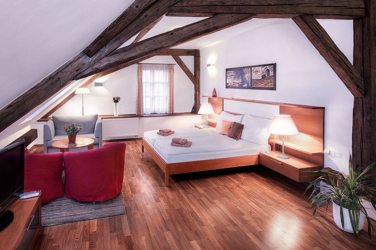 Chambre Double Supérieure, baignoire (VIP room)