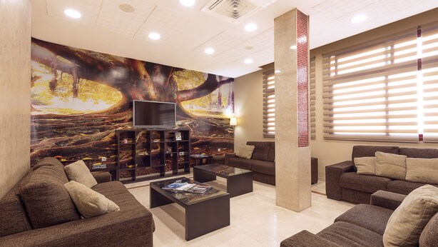 Lobby lounge - Hotel NS Albolut (Albolote)