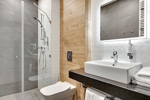 Habitación clásica doble | Baño | Ducha, secador de pelo y toallas