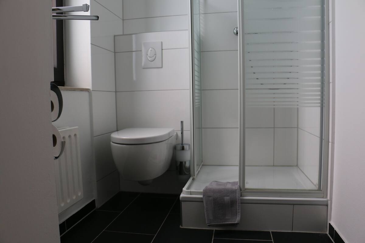 Shower, hair dryer (on request), towels