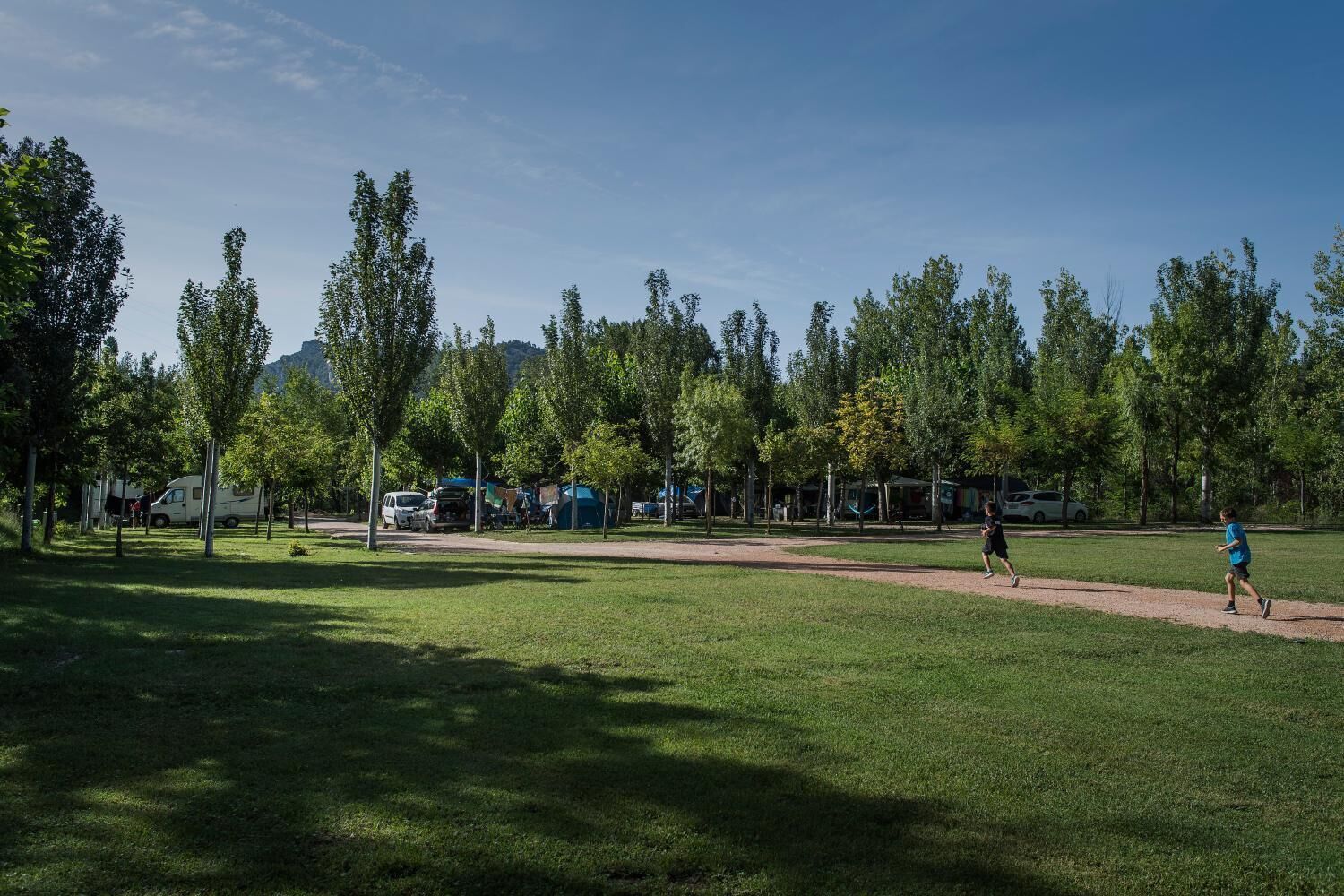 Basketball court
