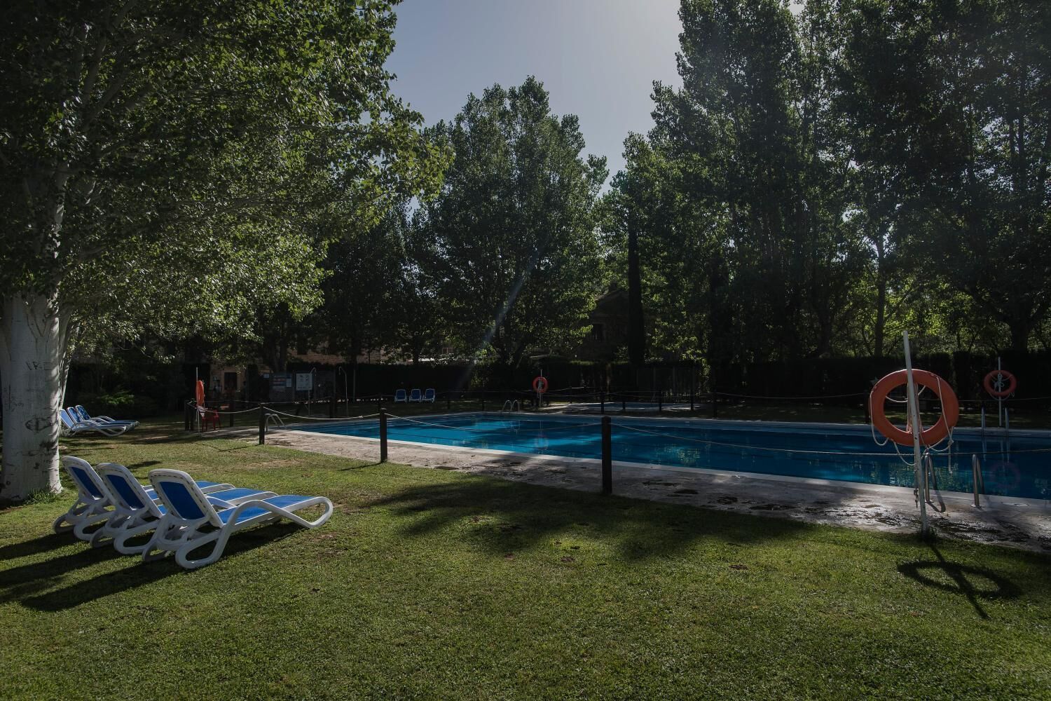 Una piscina rodeada de árboles, con sillas de descanso y un flotador.