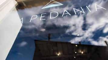 A window with the text "PEDAN'TA" and a logo above it.