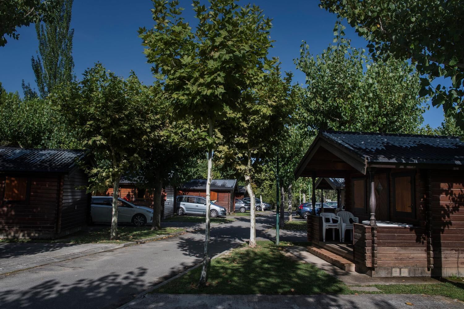 A row of cabins with a paved driveway and parked cars.
