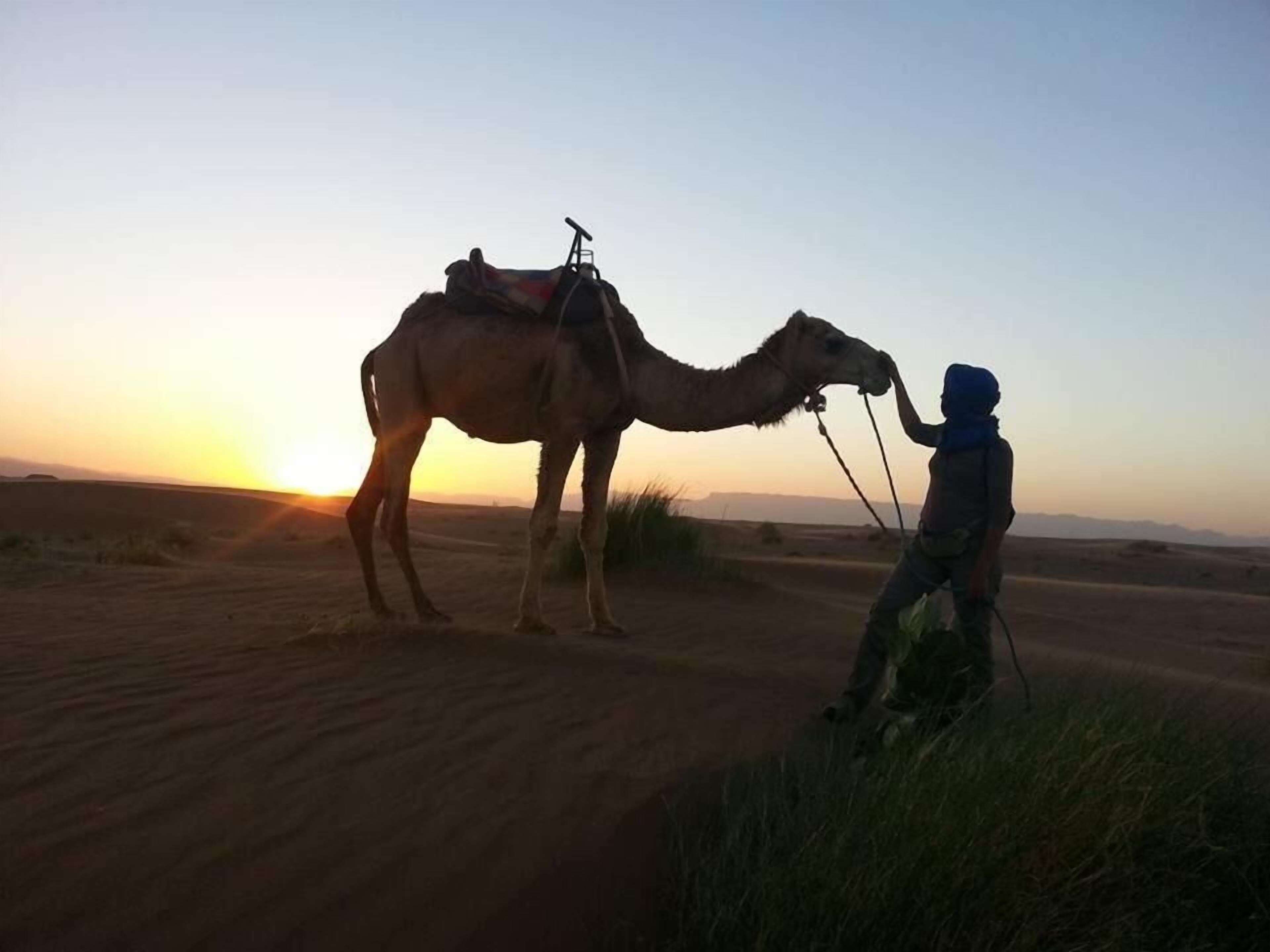 Una persona guiando un camello en un paisaje desértico durante el atardecer.