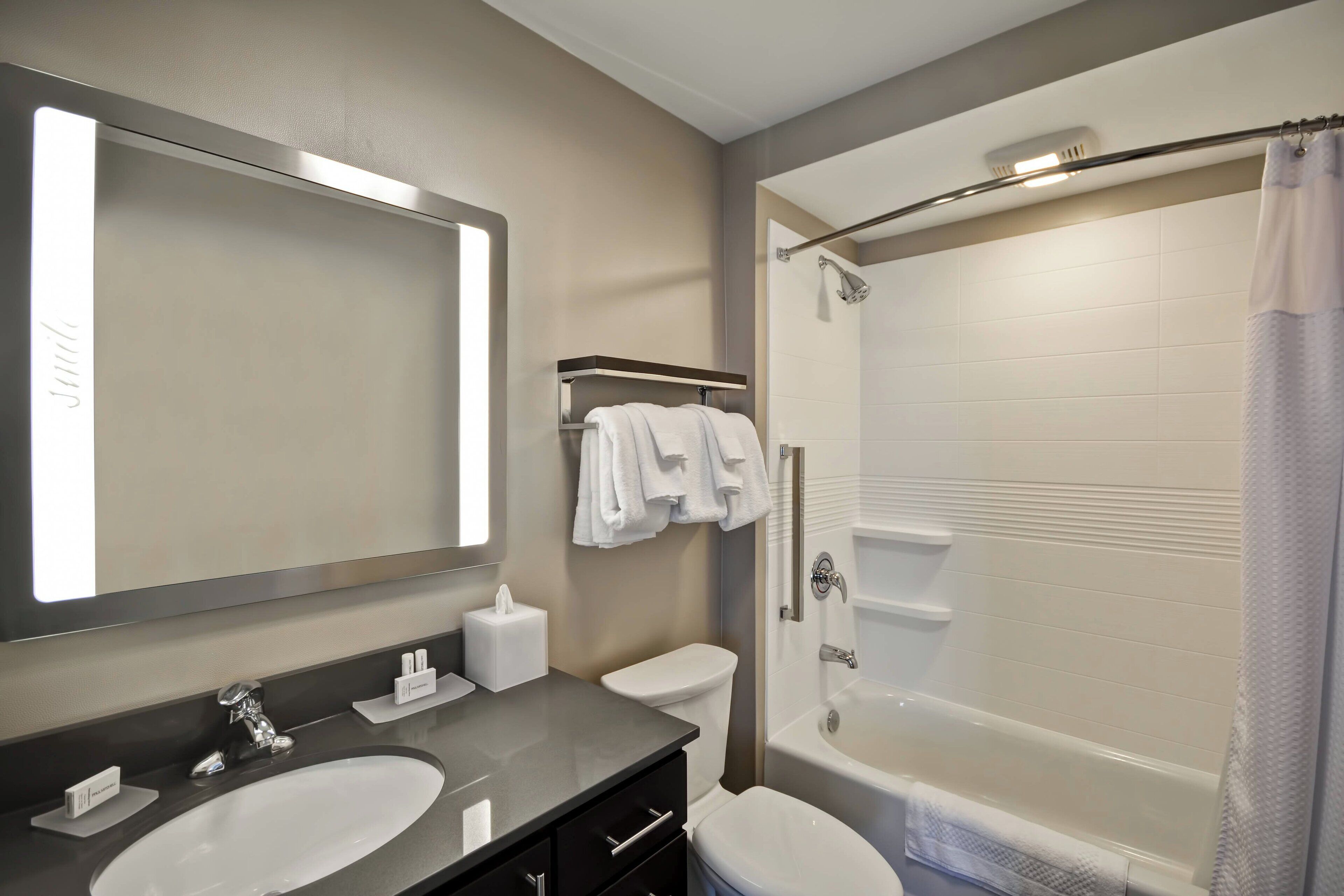 suite, 1 bedroom | bathroom | free toiletries, hair dryer, towels