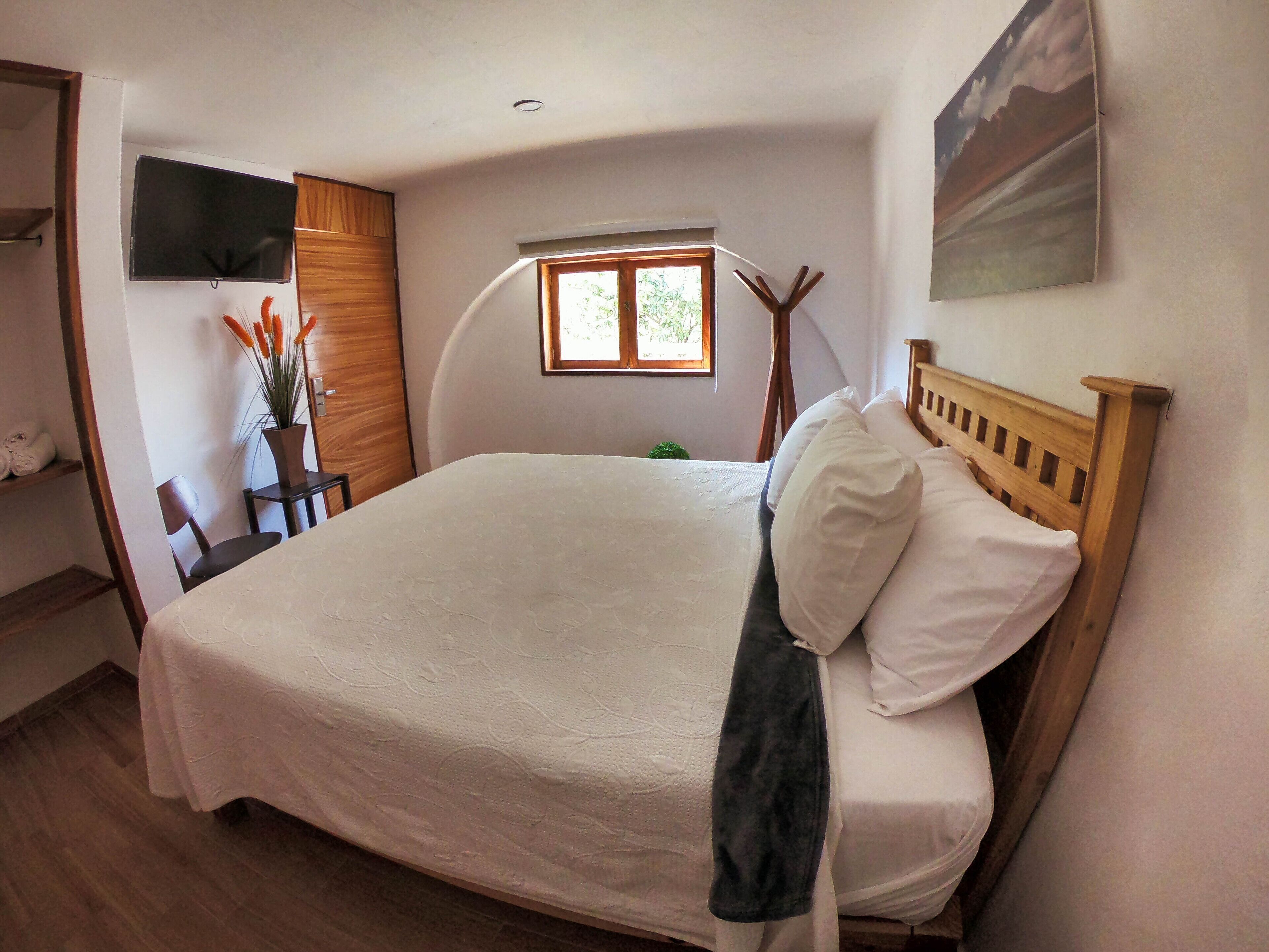 Een slaapkamer met een groot bed, een houten hoofdbord, een aan de muur bevestigde televisie, een raam met uitzicht op groen en een kleine tafel met een plant.