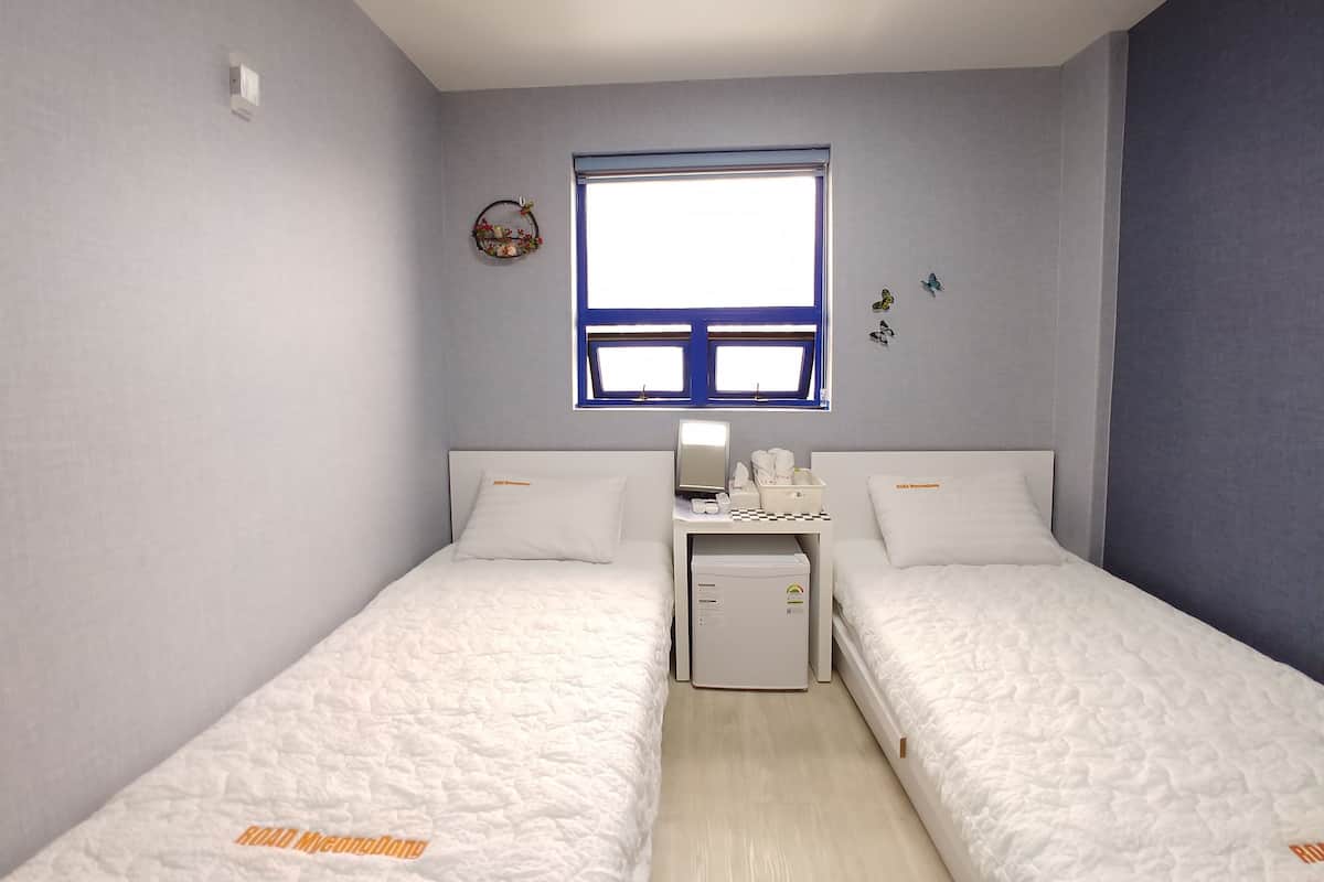 Habitación básica con 2 camas individuales, varias camas, baño privado, vista a la ciudad | Tabla de planchar con plancha y wifi gratis