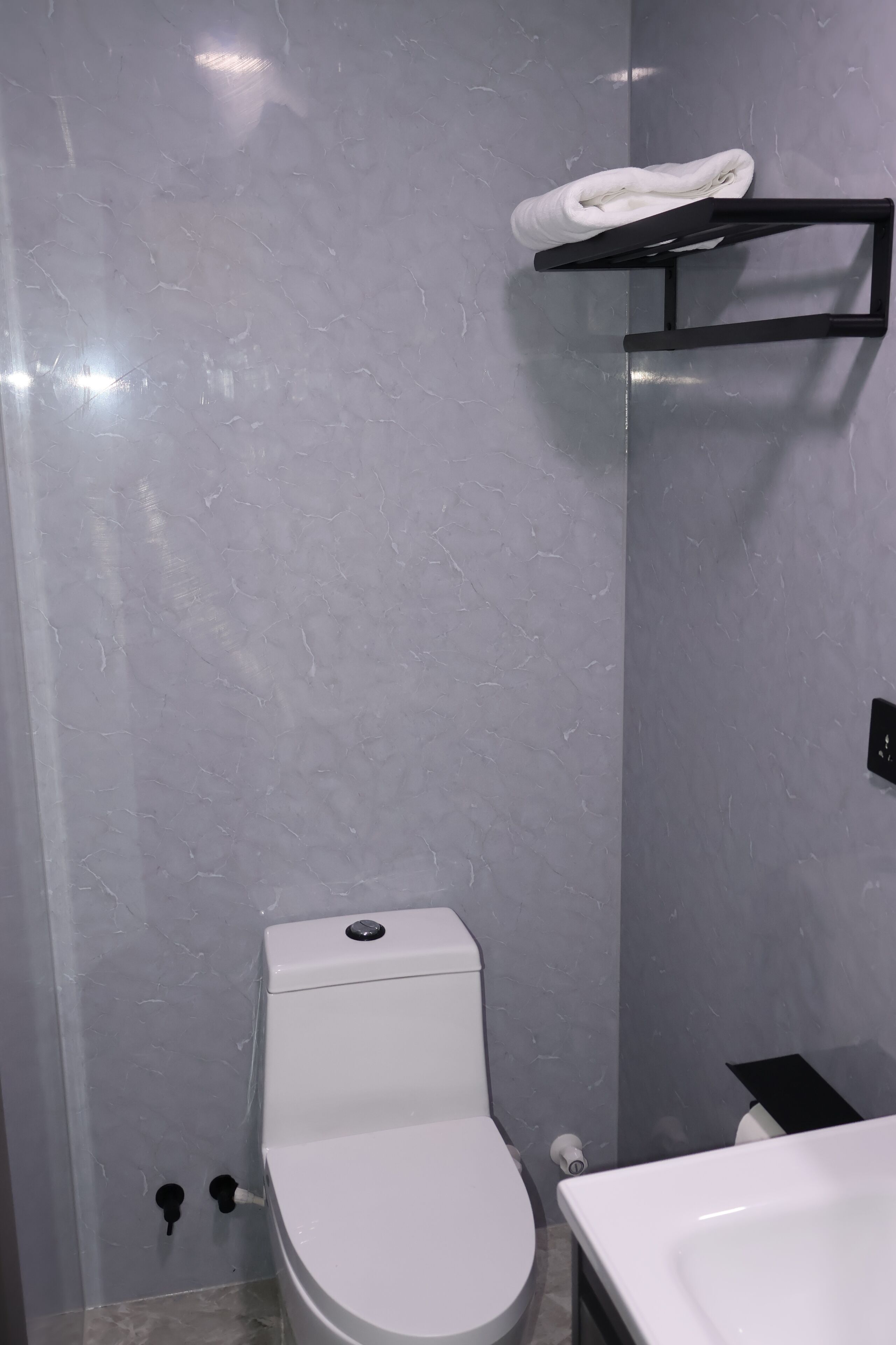 A bathroom with a white toilet, a black towel rack, and a white sink.