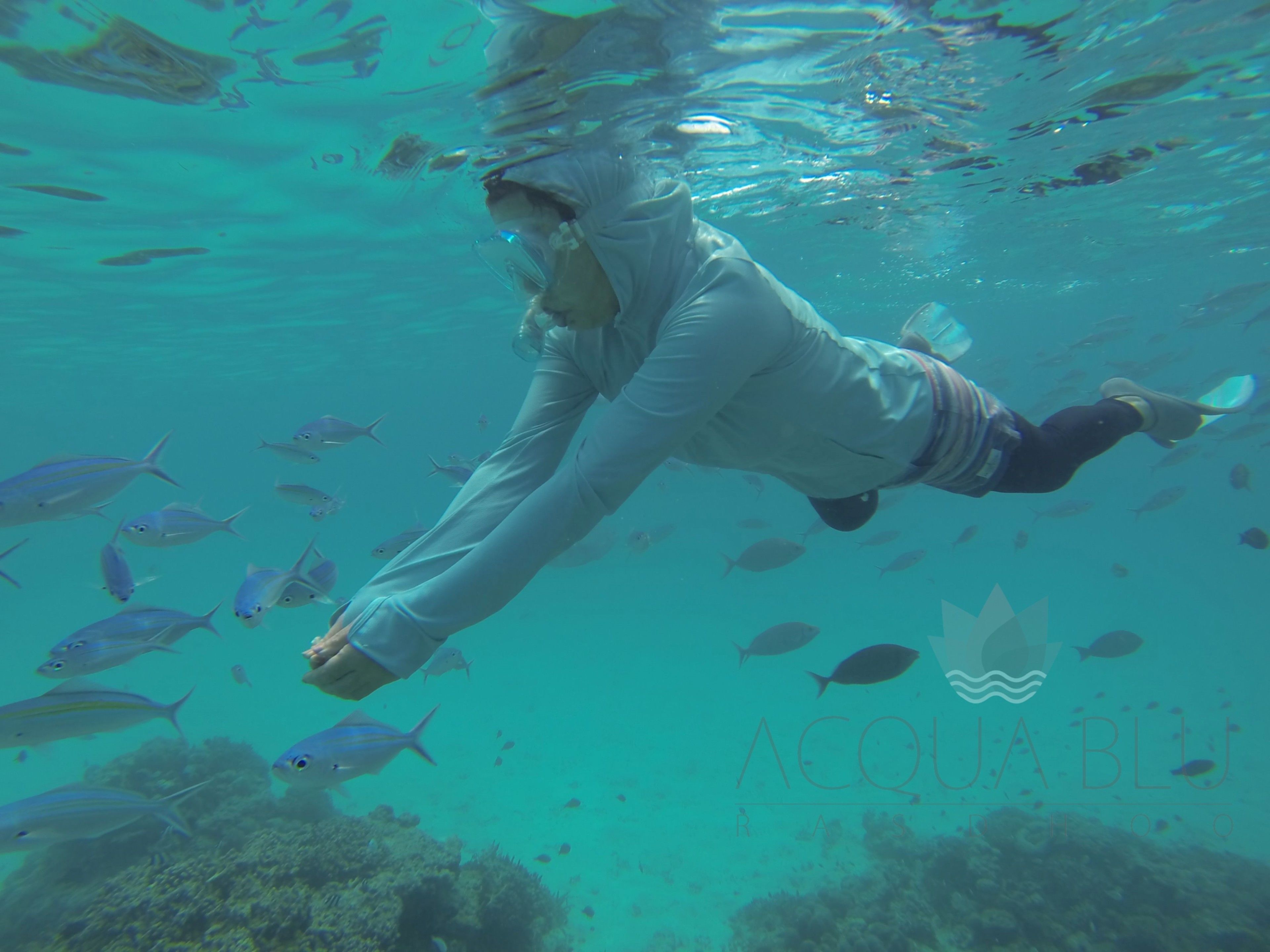 Una persona nadando bajo el agua rodeada de peces.