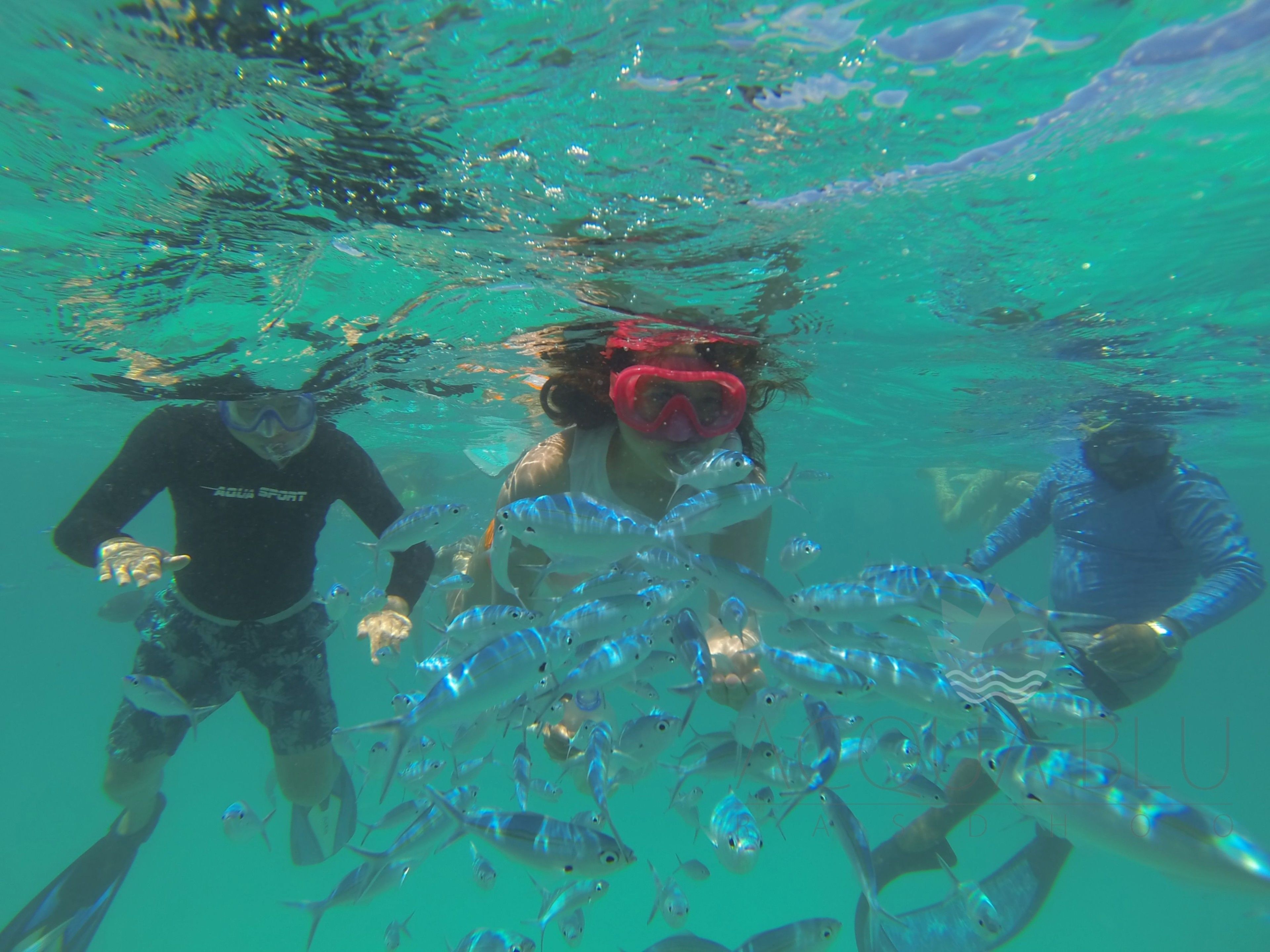 Three people snorkeling underwater with a school of fish.