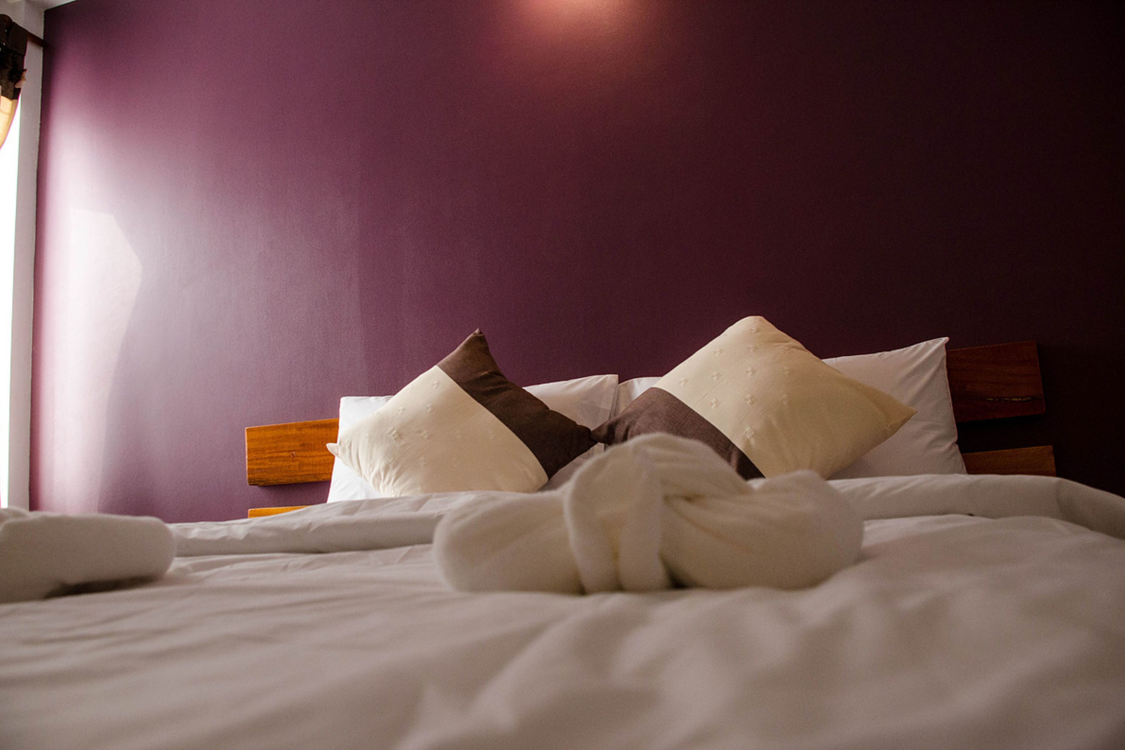 A neatly made bed with white linens and brown decorative pillows, set against a purple wall.