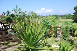 Vista desde la propiedad